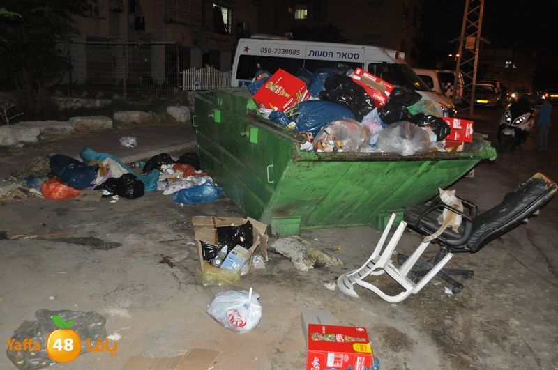 trash lud 907 (25).JPG